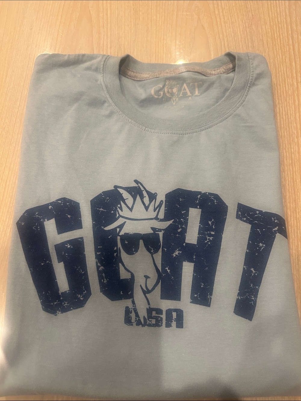GOAT USA Men’s Pale Blue Graphic Tee
